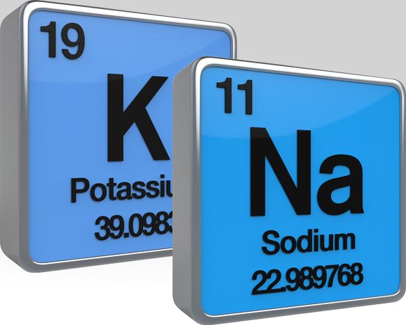 New DRI Values for Sodium and Potassium Released