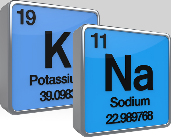 New Dri Values For Sodium And Potassium Released Esha Research